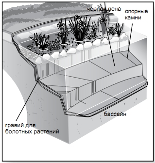 Проектирование и устройство декоративного водоёма.